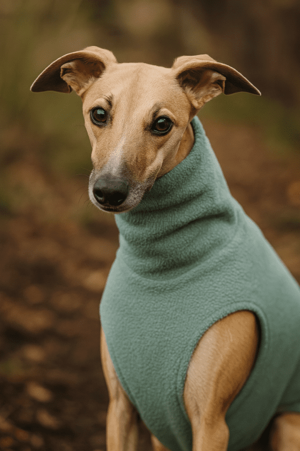 Fleece Jumper for Whippets, Greyhounds & Sighthounds – Warm, Soft & Custom Fit - Image 9