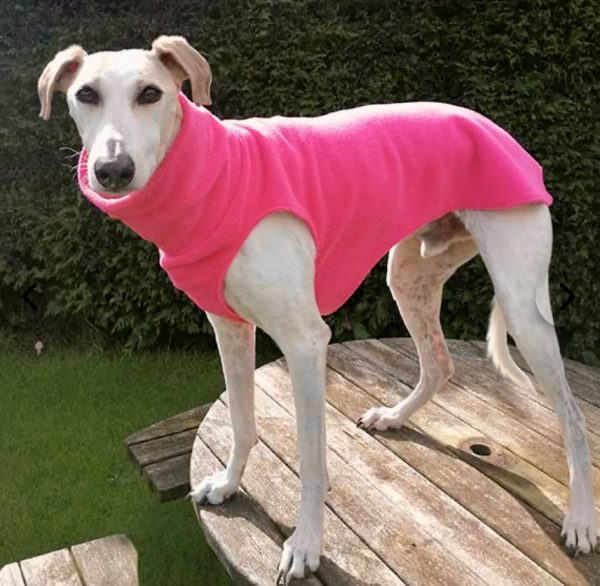 Fleece Jumper for Whippets, Greyhounds & Sighthounds – Warm, Soft & Custom Fit - Image 10