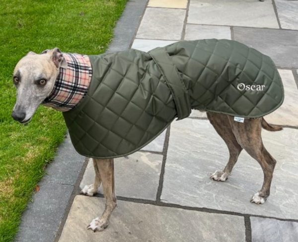 Waterproof whippet and greyhound coat, personalised with your dog's name
