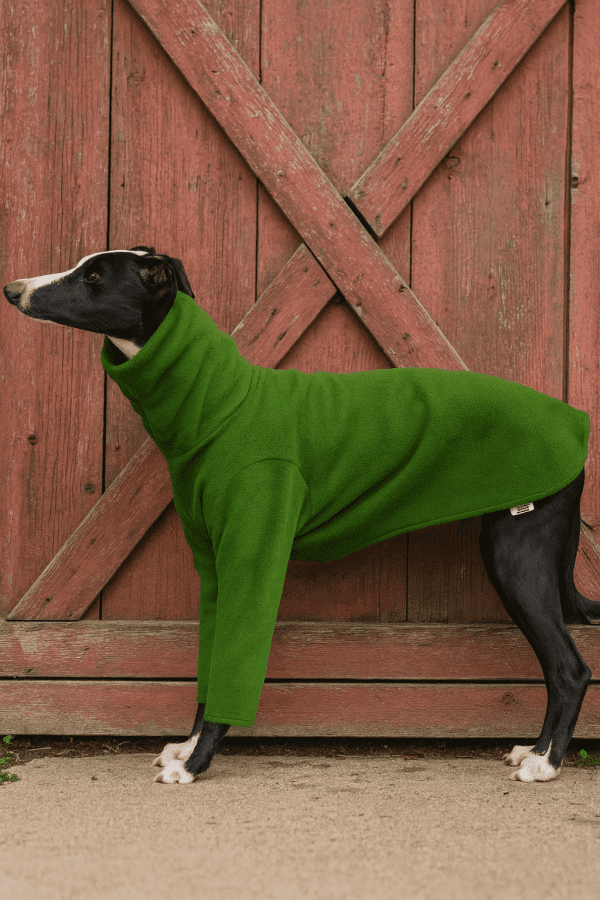 Pyjamas for Whippets — Soft, Stretchy Loungewear for Small Dogs