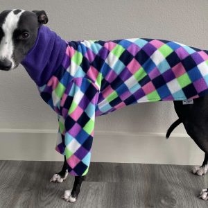 Whippet greyhound pyjamas
