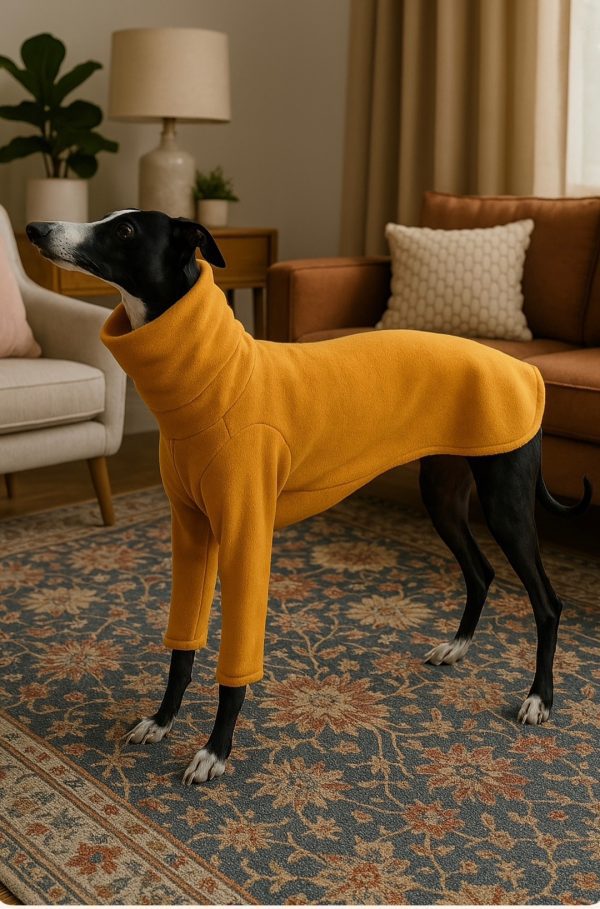 Pyjamas for Whippets — Soft, Stretchy Loungewear for Small Dogs - Image 5