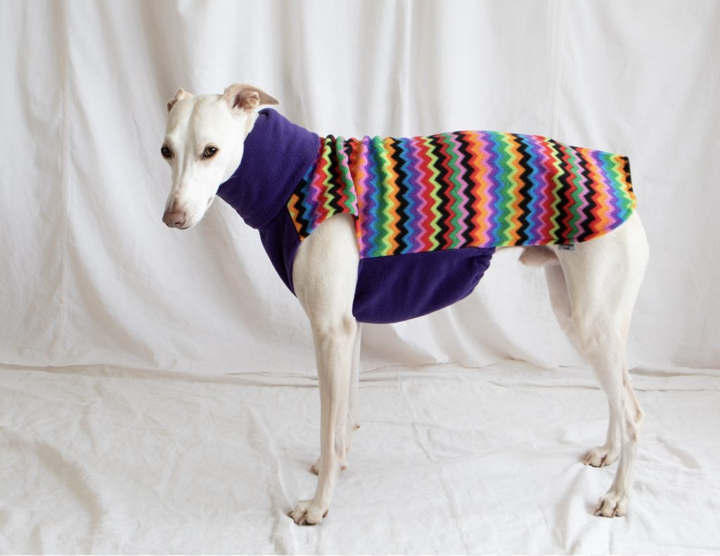Greyhound sweater whippet sweater