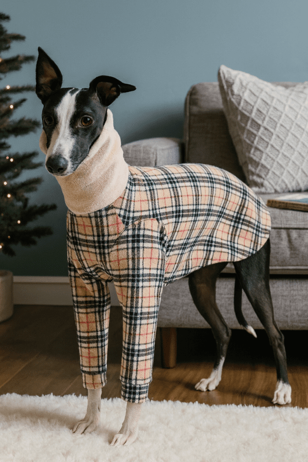 Cozy Handmade Polar Fleece 2-Leg Pajamas for Sighthounds – Italian Greyhound, Whippet, Lurcher & Greyhound Sleepwear - Image 7