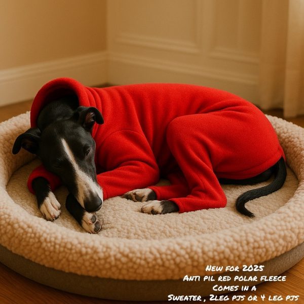 Whippet  and greyhound fleece pyjamas - Image 3