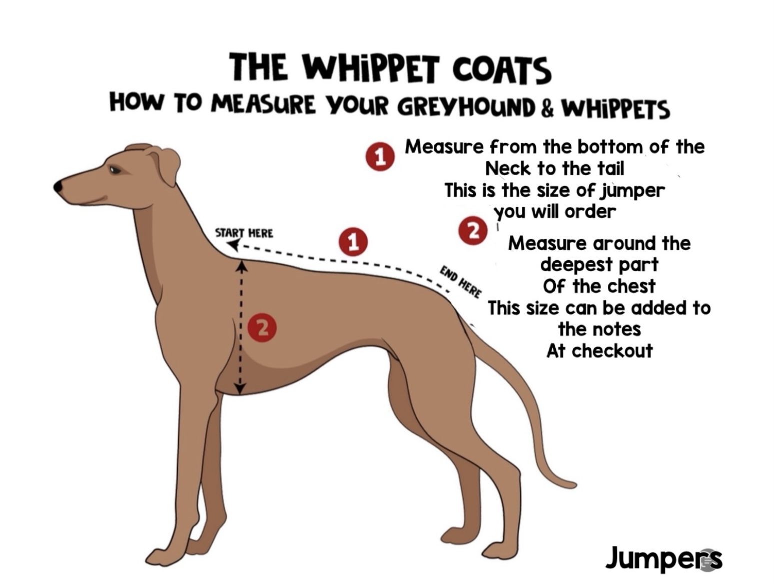 Luxury Sherpa Fleece Sweater for Whippets & Greyhounds - Image 4