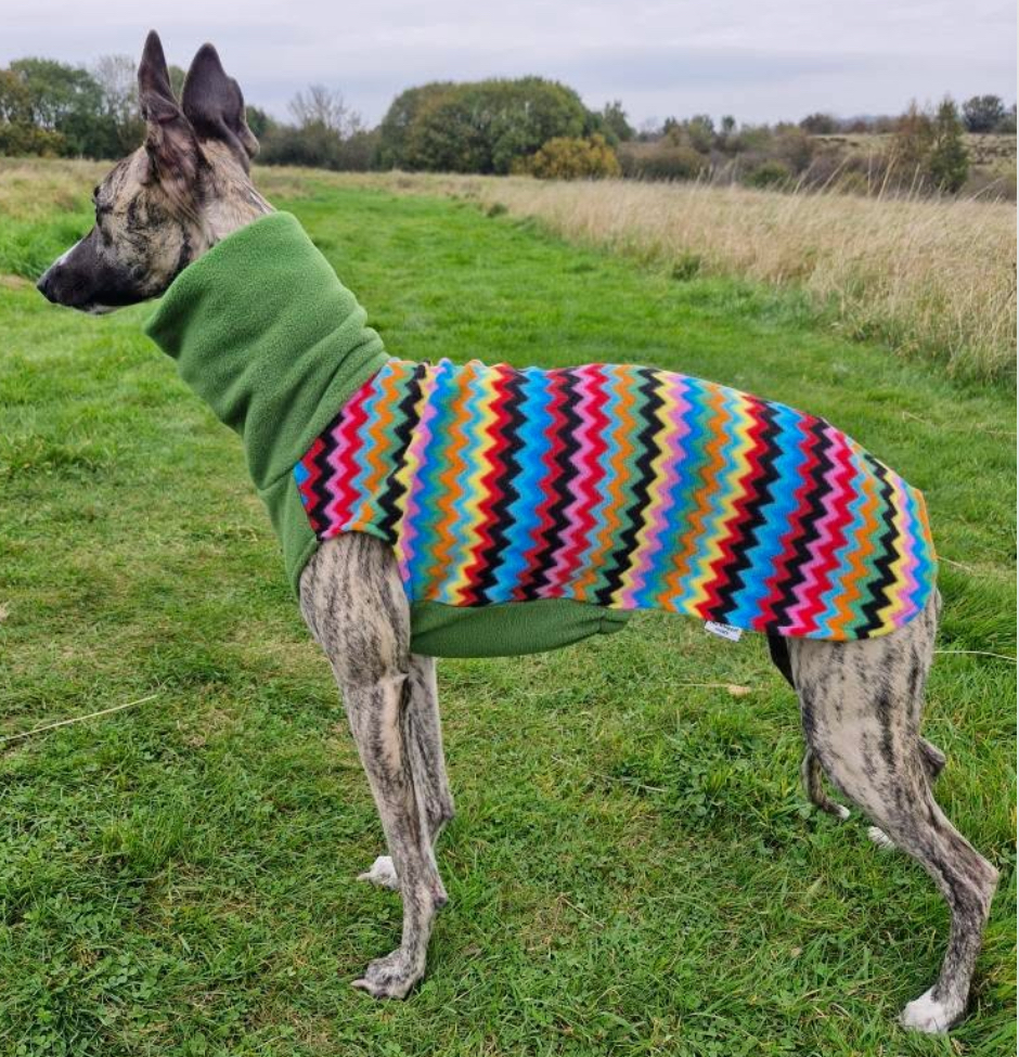 Fleece Jumper for whippets , greyhound & Sighthounds – Warm Dog Sweater