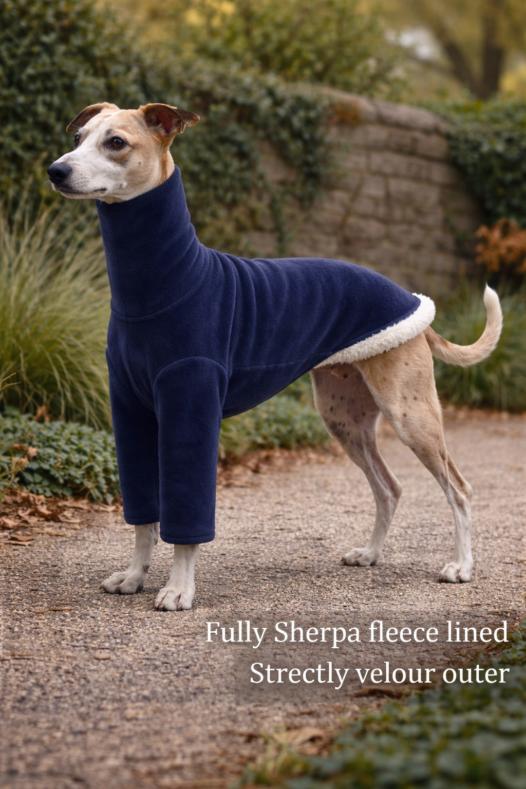 Whippet and greyhound Pyjamas – 2 Leg, Stretchy & Fully Lined In Sherpa - Image 5