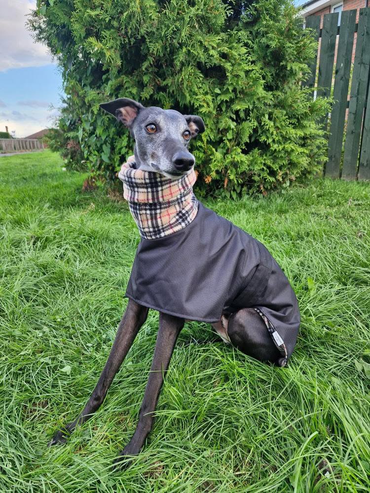 Whippet & Greyhound Waterproof Fleece Lined Dog Coat – Warm Winter RainCoat - Image 7