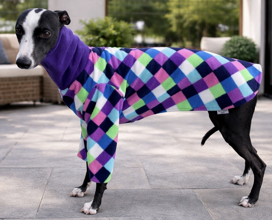 Whippet greyhound pyjamas