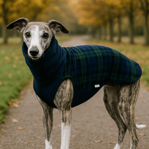 Greyhound Sleeveless sweater, whippet sleeveless sweater