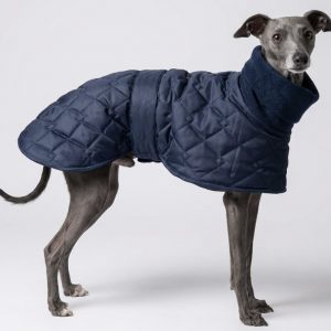 Navy Whippet Coat – Waterproof Quilted Coat for Greyhounds, Lurchers & Italian Greyhounds