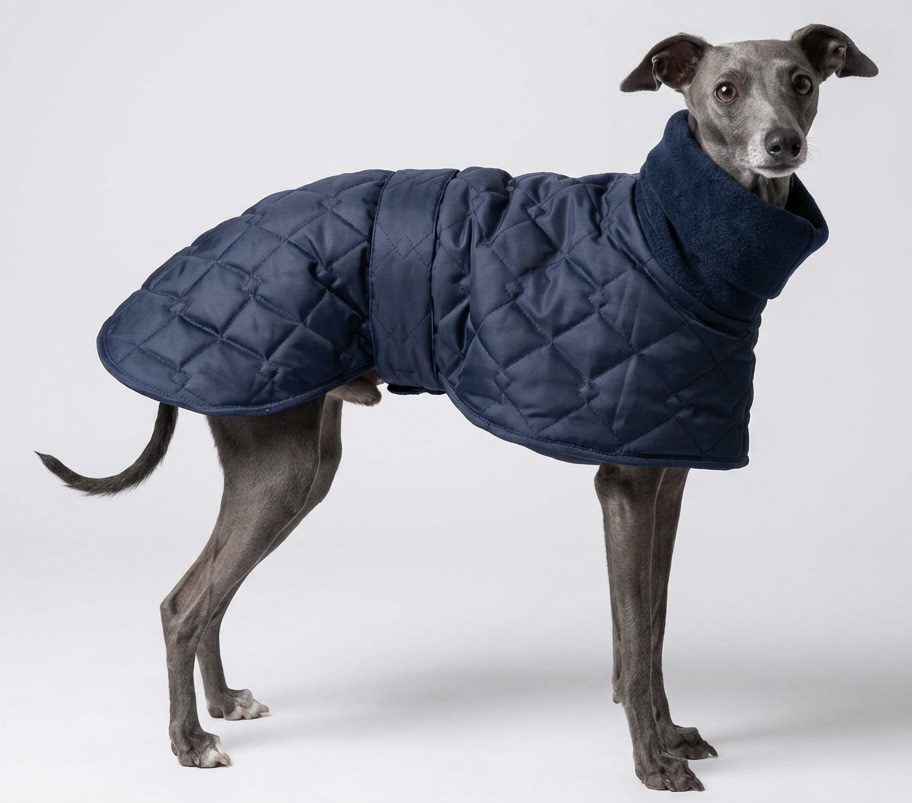 Navy Whippet Coat – Waterproof Quilted Coat for Greyhounds, Lurchers & Italian Greyhounds