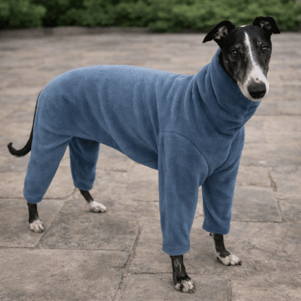 Whippet pyjamas