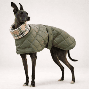 Waterproof Italian Greyhound Coat – Fleece Lined Winter Coat for Small Sighthounds UK