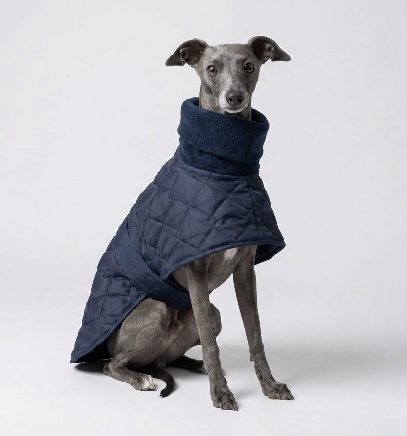 Navy Whippet Coat – Waterproof Quilted Coat for Greyhounds, Lurchers & Italian Greyhounds - Image 2