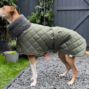 Waterproof Whippet Coat with Sherpa Lining