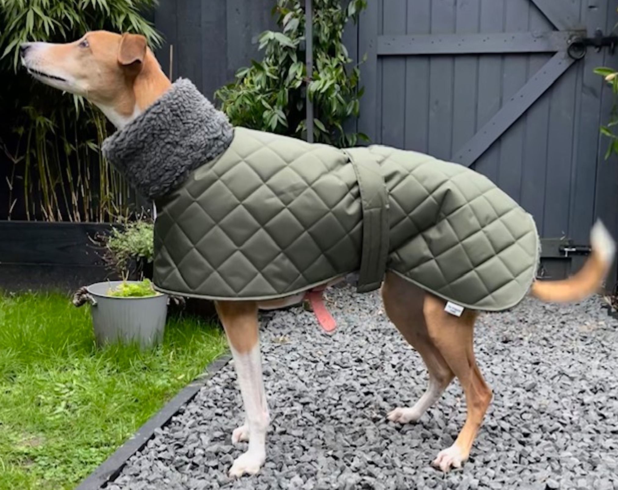 Waterproof Sherpa‑Lined Greyhound Coat – Whippet & Lurcher Sizes available