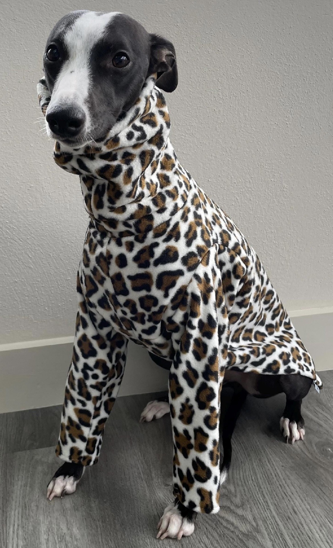 Greyhound & Whippet Fleece Pyjamas – Cozy Polar Fleece Dog Onesie