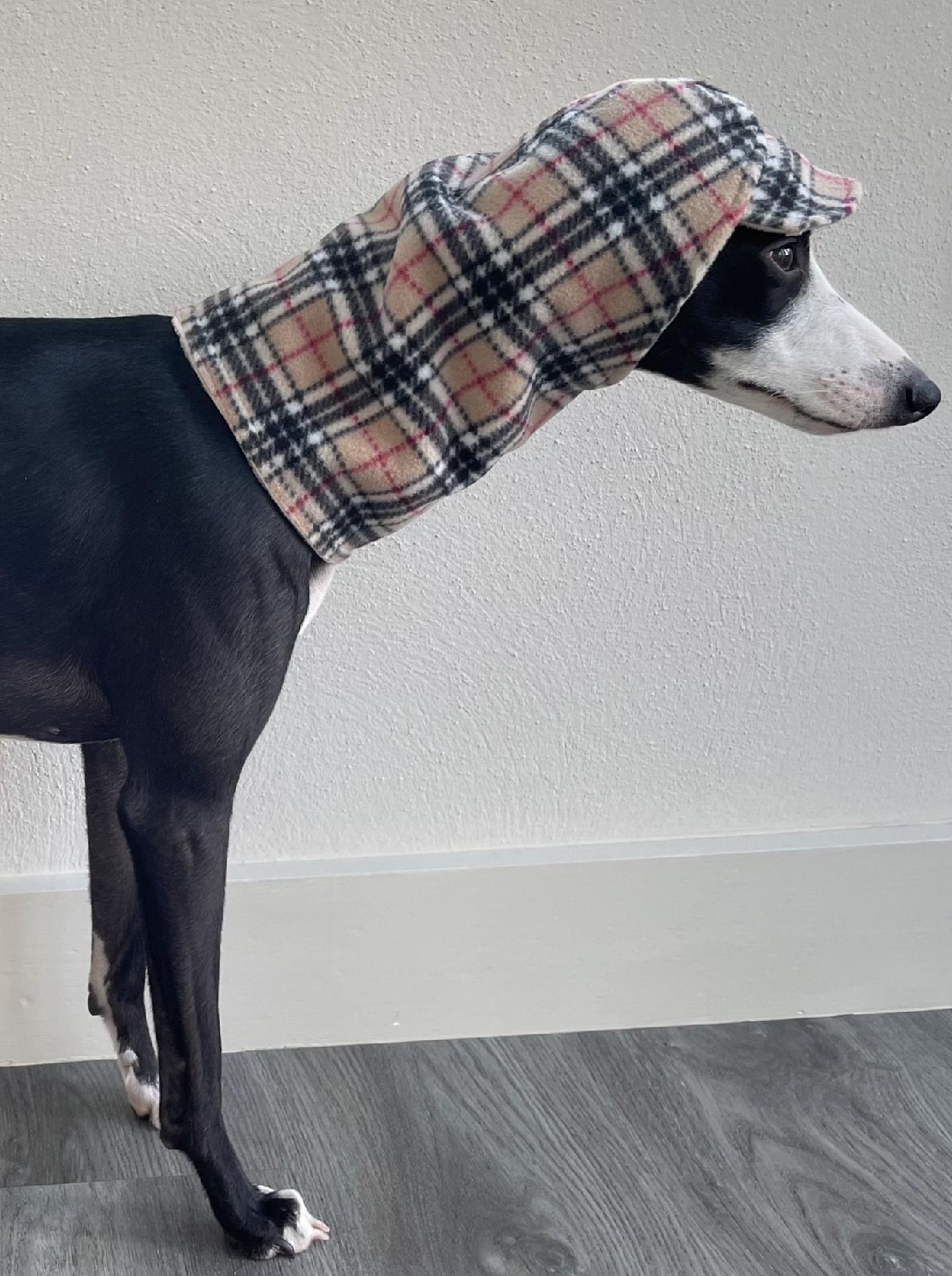 Polar Fleece Whippet & Greyhound Snood Hat – Soft, Warm Neck Warmer for Sighthounds - Image 11