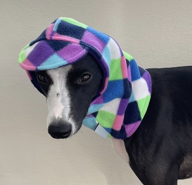 Polar Fleece Whippet & Greyhound Snood Hat – Soft, Warm Neck Warmer for Sighthounds - Image 9