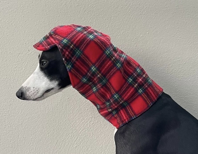 Polar Fleece Whippet & Greyhound Snood Hat – Soft, Warm Neck Warmer for Sighthounds - Image 10