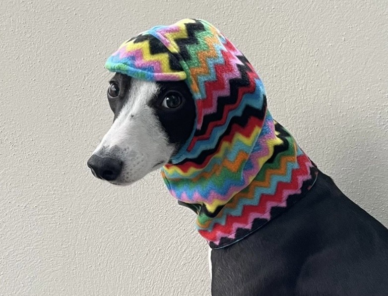 Polar Fleece Whippet & Greyhound Snood Hat – Soft, Warm Neck Warmer for Sighthounds - Image 6