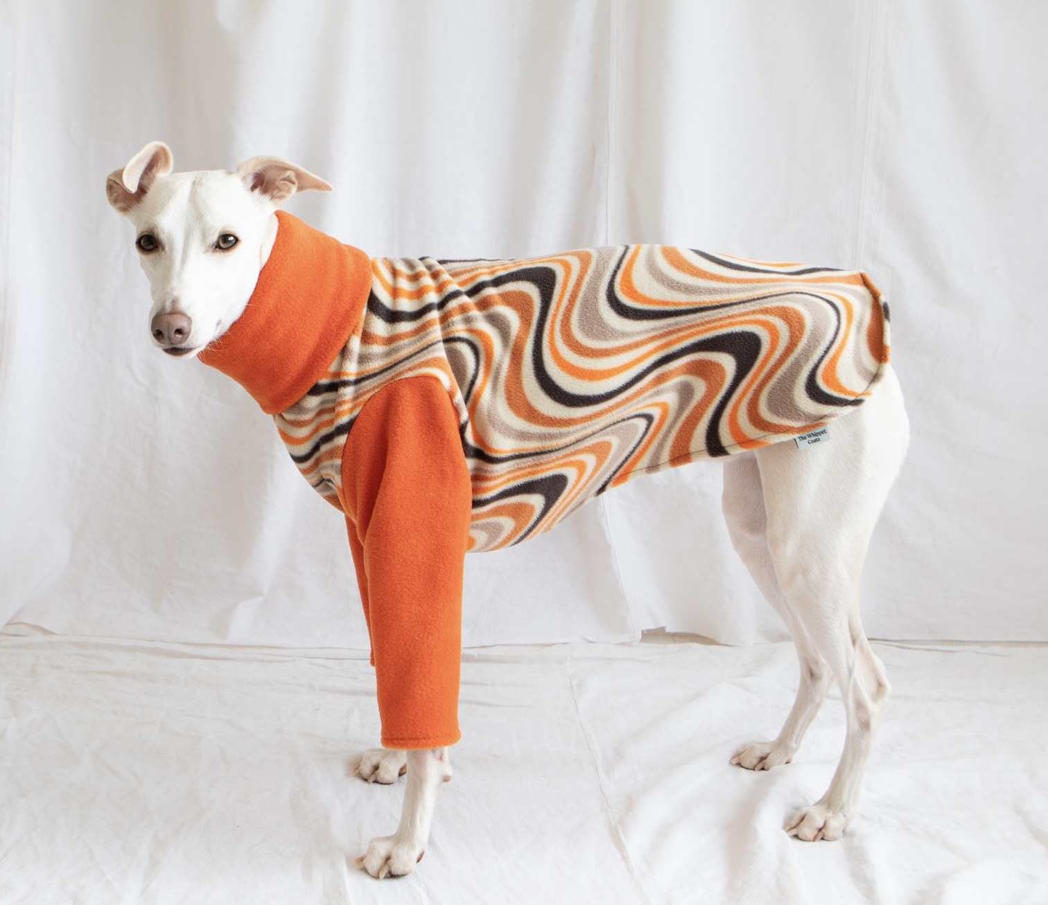 Whippet greyhound pyjamas - Image 5