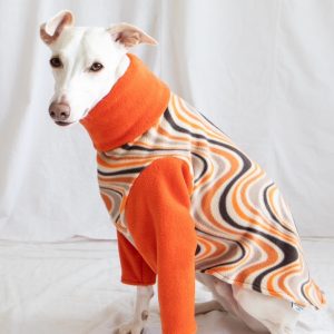 Whippet greyhound pyjamas