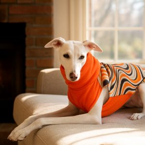 Whippet fleece jumper- sleeveless greyhound sweater for dogs