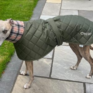 Waterproof whippet and greyhound coat, personalised with your dog's name