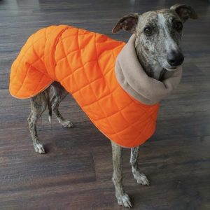 Hi vis orange quilted waterproof whippet coat for greyhounds and sighthounds side profile