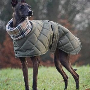 Italian Greyhound winter coats