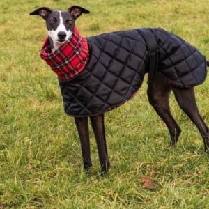 Waterproof Winter Whippet and Greyhound Quilted Coats