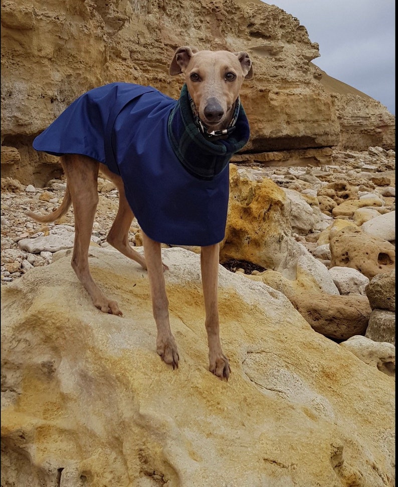 Whippet & Greyhound Waterproof Fleece Lined Dog Coat – Warm Winter RainCoat - Image 4