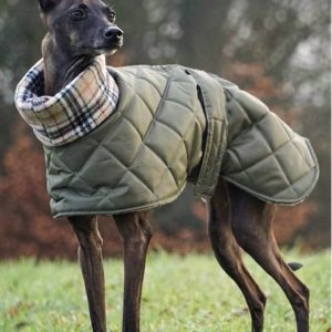 Waterproof fleece lined Italian greyhound coat for small sighthounds in winte