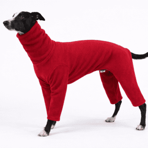 Whippet Pyjamas 4 Leg Fleece – Full Body Greyhound & Lurcher Dog Pyjamas