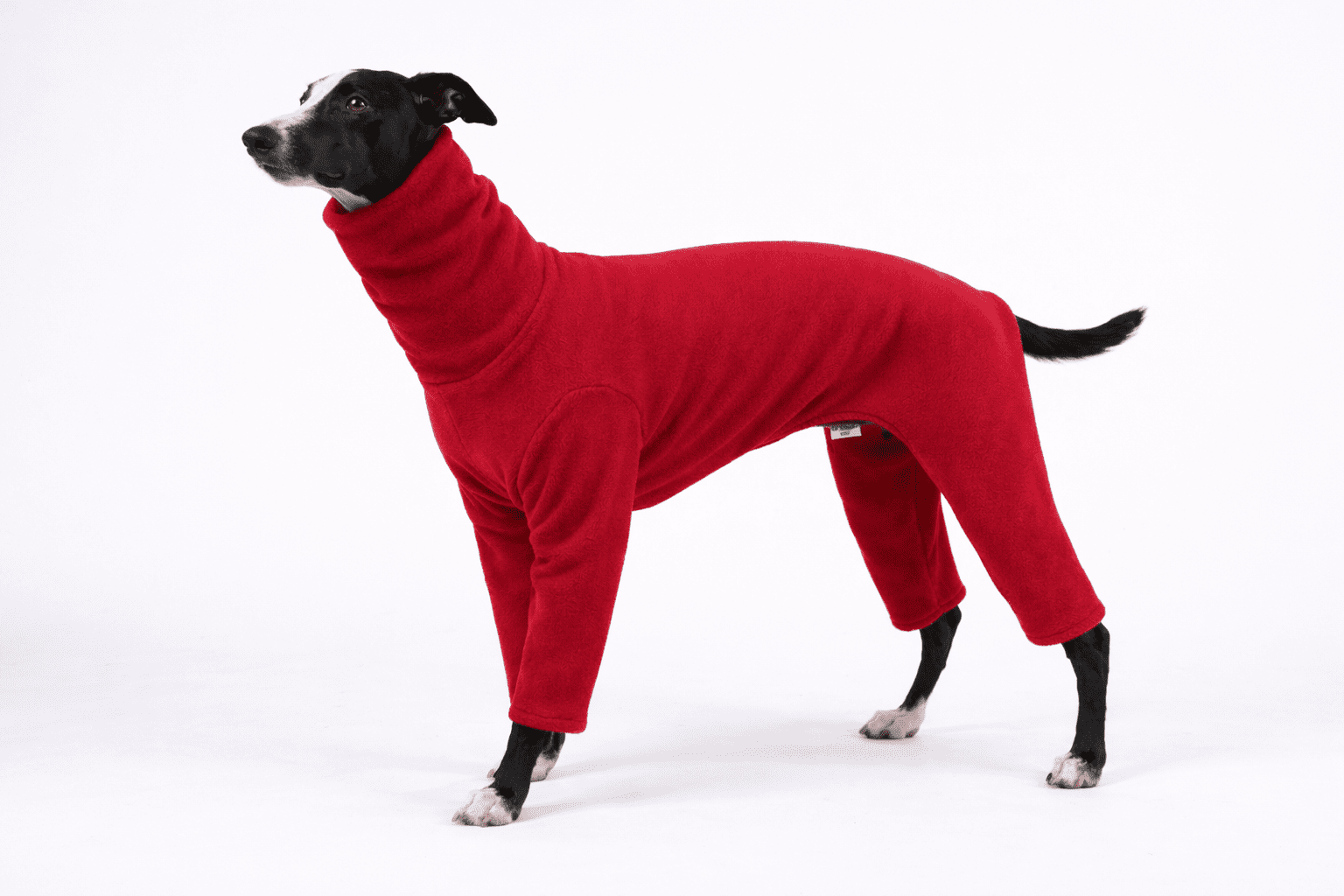Whippet Pyjamas 4 Leg Fleece – Full Body Greyhound & Lurcher Dog Pyjamas