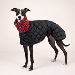 Waterproof Winter Whippet and Greyhound Quilted Coats