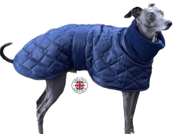Navy blue Whippet coat , Greyhound, Lurcher and Italian Greyhound Coat