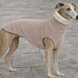 Whippet sweater in Sherpa fleece - chunky winter jumpers for greyhounds , whippets , luxury sighthound clothing