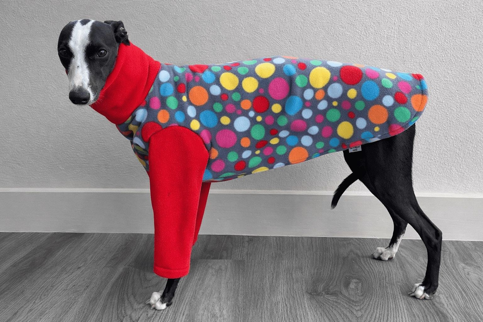 Whippet fleece pyjamas - greyhound fleece pyjamas