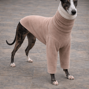 whippet wearing chunky sherpa fleece pyjamas warm winter greyhound clothing