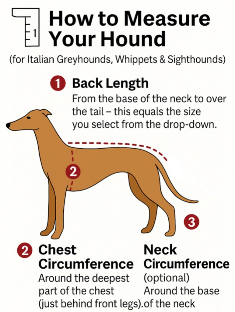 Whippet coat measuring guide.