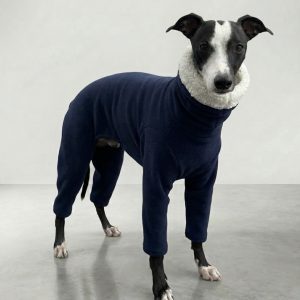 Whippet wearing navy 4 leg Sherpa fleece pyjamas