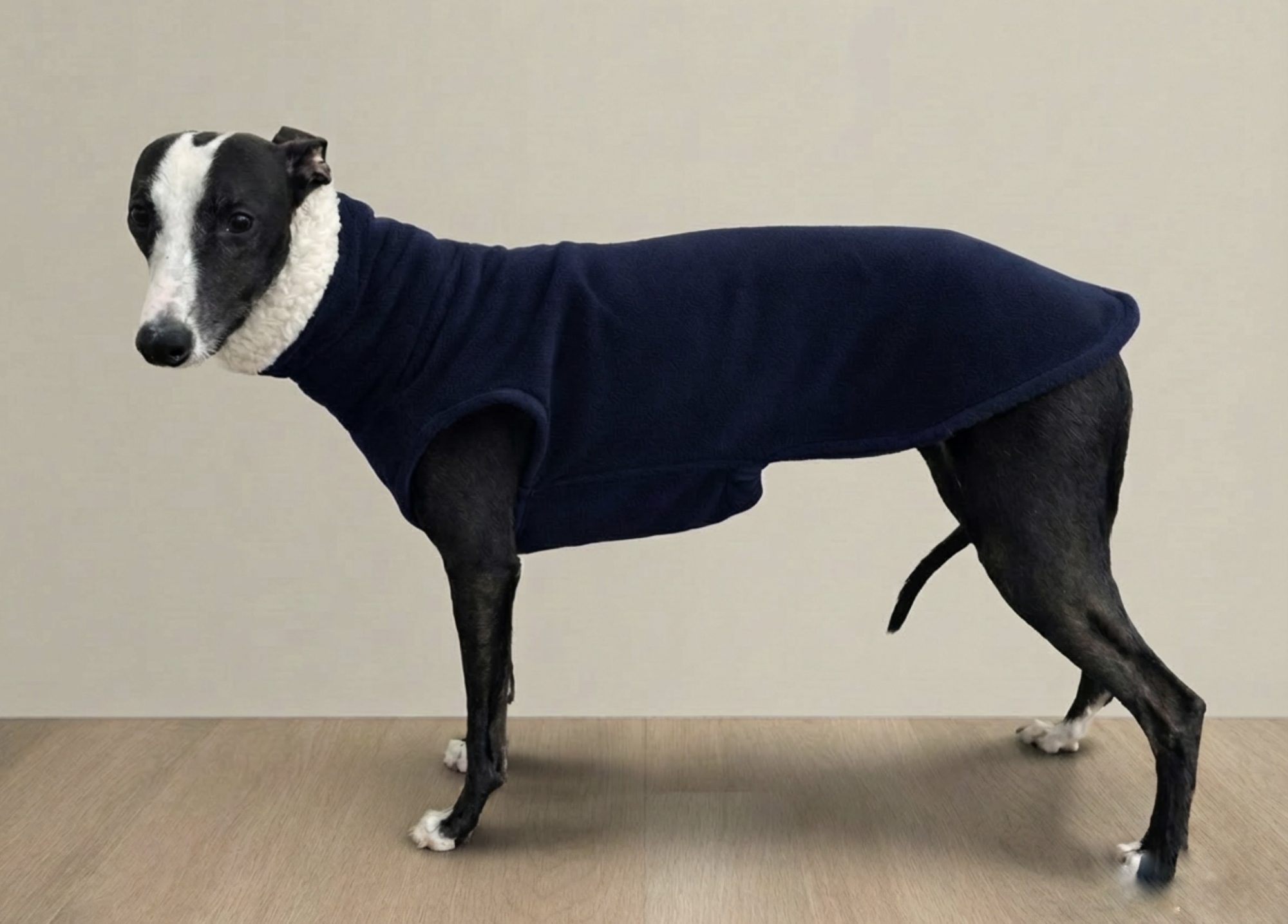 Whippet wearing navy Sherpa fleece jumper
