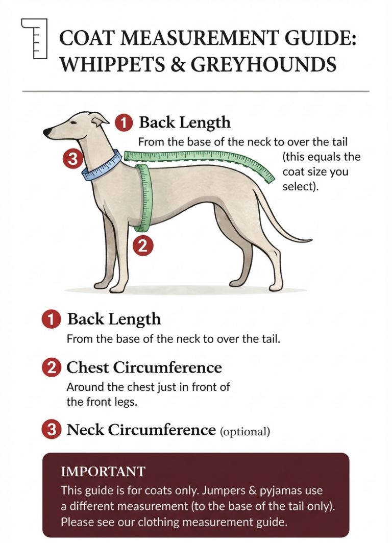How to measure a whippet for a coat including back length chest and neck size guide