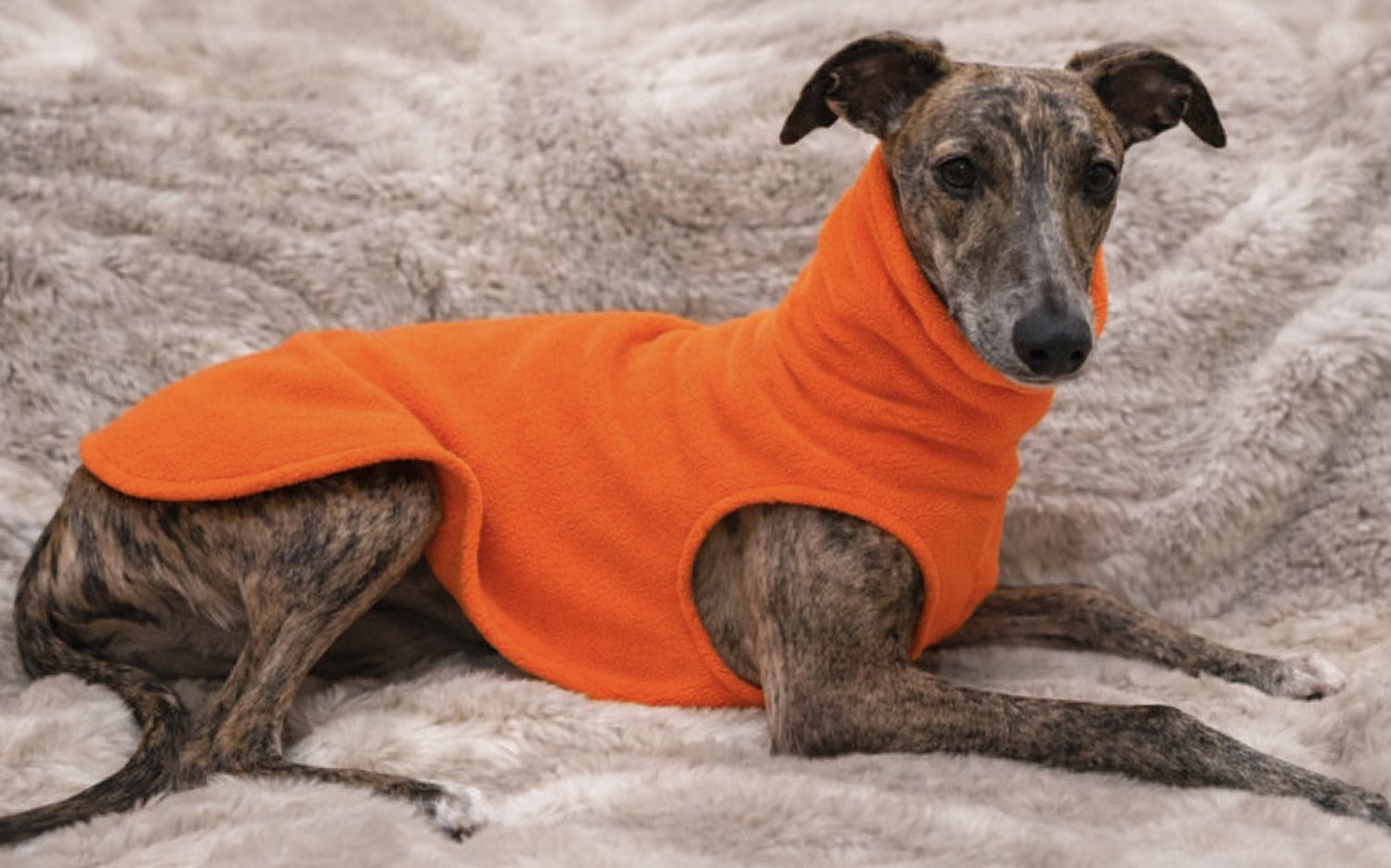 Hi Vis Whippet Jumper – Orange Fleece Dog Jumper for Greyhounds, Lurchers & Italian Greyhounds - Image 2