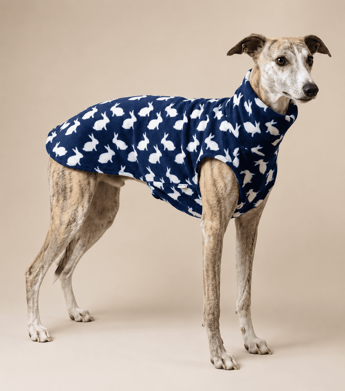 Whippet Fleece Jumper – Handmade Sighthound Sweater for Whippets, Italian Greyhounds & Greyhounds - Image 5