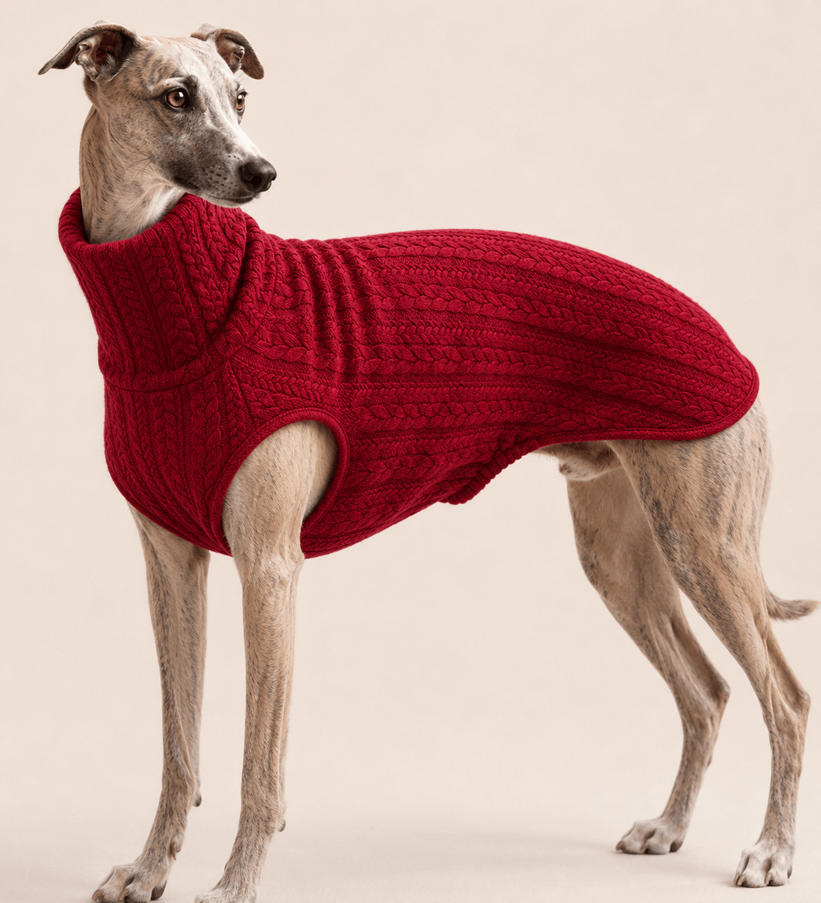 Whippet sweater – Warm Knitted Dog jumper for Greyhounds, Italian Greyhounds & Sighthounds - Copy